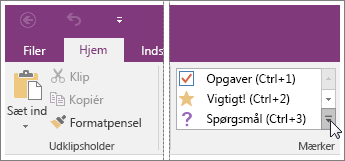 Skærmbillede af listen over mærker i OneNote 2016.