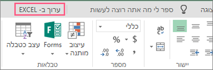 לחצן 'ערוך ב- Excel'