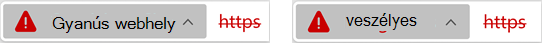 Gyanús vagy veszélyes webhely ikonja