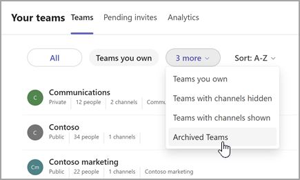 Screenshot della pagina I tuoi team con l'opzione per visualizzare i team archiviati. Selezionare l'elenco a discesa accanto a Teams di cui si è proprietari per selezionare Team archiviati.
