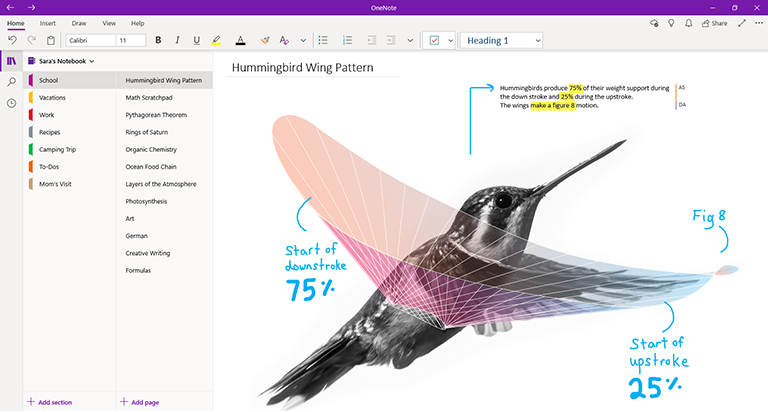 Ảnh chụp màn hình của OneNote for Windows 10